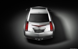 Cadillac CTS Coupe - 2011 HD wallpaper #7