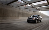 Cadillac SRX - 2011 fonds d'écran HD #2