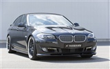 Hamann BMW serie 5 F10 - 2010 fondos de escritorio de alta definición #3