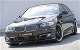 Hamann BMW serie 5 F10 - 2010 fondos de escritorio de alta definición #4