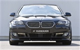 Hamann BMW 5-Series F10 - 2010 HD обои #13