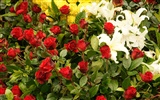 Красочные цветы украшают обои (3) #19