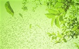 緑と自然の壁紙 (3) #19