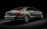 Mercedes-Benz Classe CLS - 2010 fonds d'écran HD #2