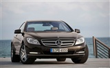 Mercedes-Benz CL600 - 2010 fondos de escritorio de alta definición #10