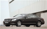 Mercedes-Benz CL600 - 2010 fondos de escritorio de alta definición #16