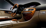 Mercedes-Benz CL600 - 2010 fondos de escritorio de alta definición #33