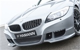 Hamann BMW Z4 E89 - 2010 fondos de escritorio de alta definición #17