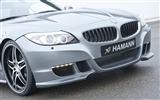 Hamann BMW Z4 E89 - 2010 HD tapetu #18