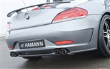Hamann BMW Z4 E89 - 2010 HD обои #19