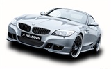 Hamann BMW Z4 E89 - 2010 fondos de escritorio de alta definición #23