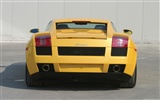 Lamborghini Gallardo - 2003 HD обои #20