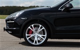 Porsche Cayenne TechArt Individualisation - 2010 fonds d'écran HD #12
