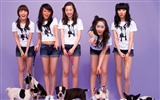Wonder Girls cartera de belleza coreano #7