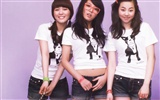 Wonder Girls cartera de belleza coreano #11