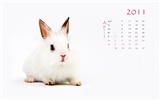 Год Кролика 2011 календарь обои (1) #4