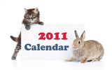 2011兔年日曆 壁紙(一) #13