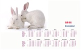 2011兔年日曆 壁紙(一) #17