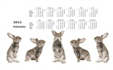 Year of the Rabbit 2011 calendar wallpaper (1) #18