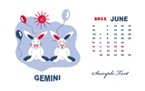 Год Кролика 2011 календарь обои (2) #7