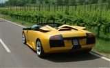 Lamborghini Murciélago Roadster - 2004 fondos de escritorio de alta definición #8