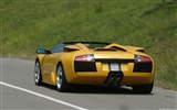 Lamborghini Murcielago Roadster - 2004 fonds d'écran HD #9
