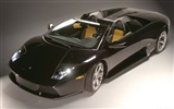Lamborghini Murciélago Roadster - 2004 fondos de escritorio de alta definición #37