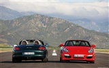 Porsche Boxster - 2009 fondos de escritorio de alta definición #8