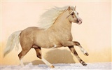 Super Pferd Fototapete (1) #10