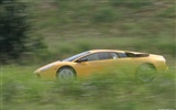 Lamborghini Murcielago - 2001 HD обои (2) #5