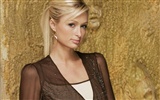 Paris Hilton hermoso fondo de pantalla (2) #10