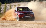 BMWのX3はxDrive20d-2010 (2) #10