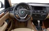 BMW X3 xDrive20d - 2010 (2) #38