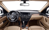 BMW X3 xDrive20d - 2010 (2) #39