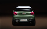 Special edition of concept cars wallpaper (22) #5
