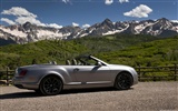 Bentley Continental Supersports Convertible - 2010 賓利 #5
