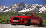 Bentley Continental Supersports Convertible - 2010 HD обои #7