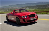 Bentley Continental Supersports Convertible - 2010 HD обои #8