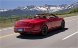 Bentley Continental Supersports Convertible - 2010 賓利 #9