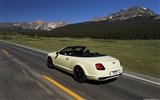 Bentley Continental Supersports Convertible - 2010 HD обои #13