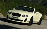 Bentley Continental Supersports Convertible - 2010 賓利 #14