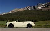 Bentley Continental Supersports Cabrio - 2010 HD tapetu #15