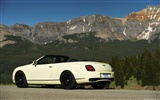 Bentley Continental Supersports Convertible - 2010 HD обои #16