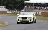 Bentley Continental Supersports Convertible - 2010 賓利 #19
