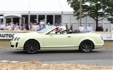 Bentley Continental Supersports Convertible - 2010 賓利 #21