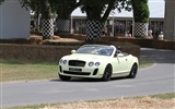 Bentley Continental Supersports Convertible - 2010 HD обои #22