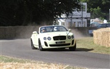 Bentley Continental Supersports Convertible - 2010 賓利 #23