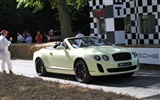 Bentley Continental Supersports Convertible - 2010 HD обои #25