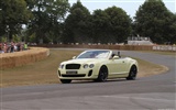 Bentley Continental Supersports Convertible - 2010 賓利 #26