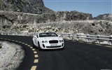 Bentley Continental Supersports Convertible - 2010 賓利 #29
